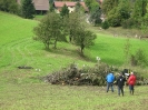 Sopron 2010